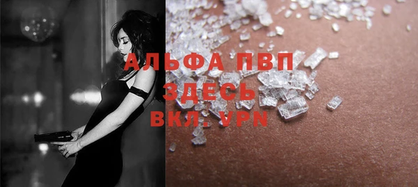 СК Новодвинск