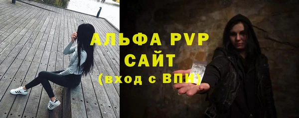 стаф Новозыбков
