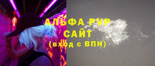 дурь Няндома