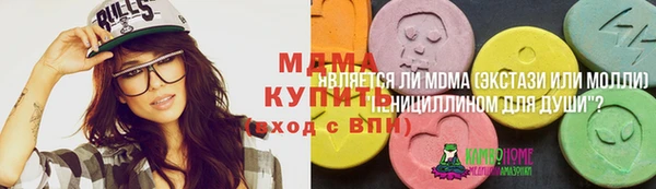 дурь Няндома