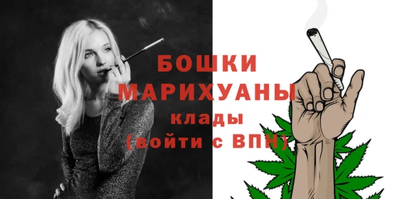 дурь Няндома