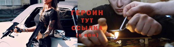 СК Новодвинск