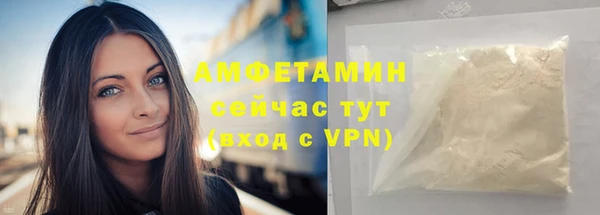 стаф Новозыбков