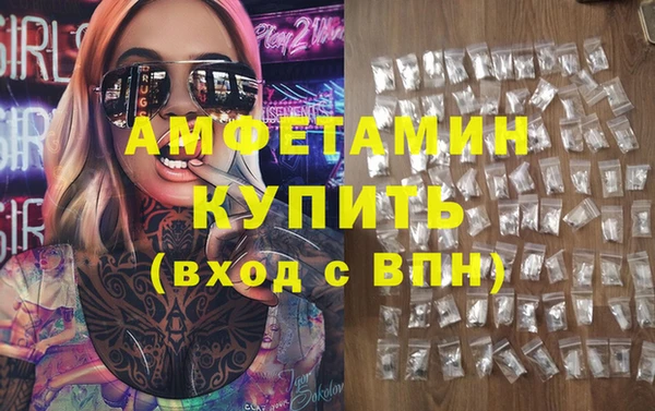 СК Новодвинск