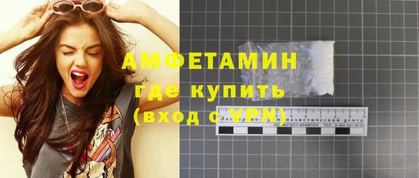 СК Новодвинск