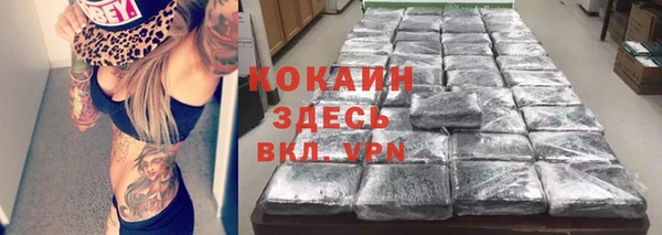 дурь Няндома