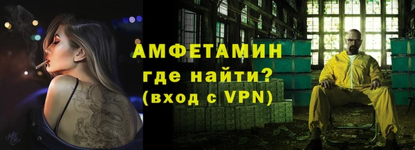 стаф Новозыбков