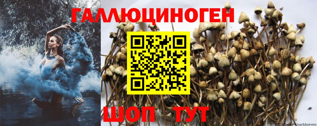 Галлюциногенные грибы GOLDEN TEACHER Чусовой