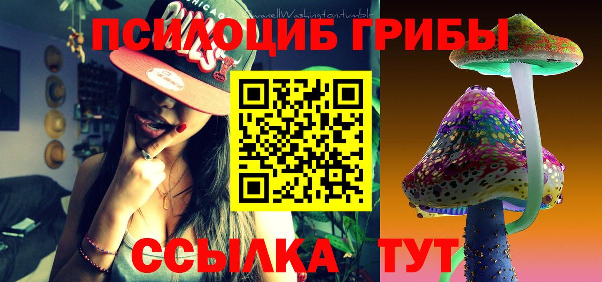 Псилоцибиновые грибы Cubensis  Псилоцибиновые грибы GOLDEN TEACHER  Чусовой 